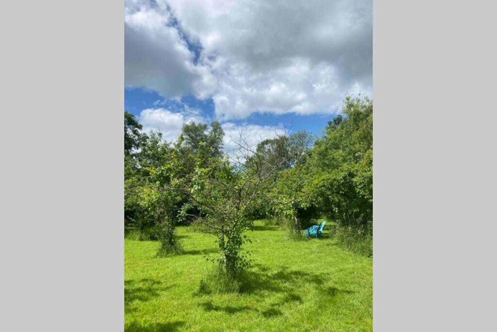 Gorgeous Comfortable Barn With Huge Private Orchard In Quiet Suffolk Location Depden 外观 照片