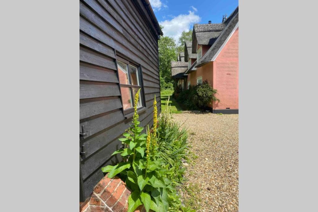 Gorgeous Comfortable Barn With Huge Private Orchard In Quiet Suffolk Location Depden 外观 照片