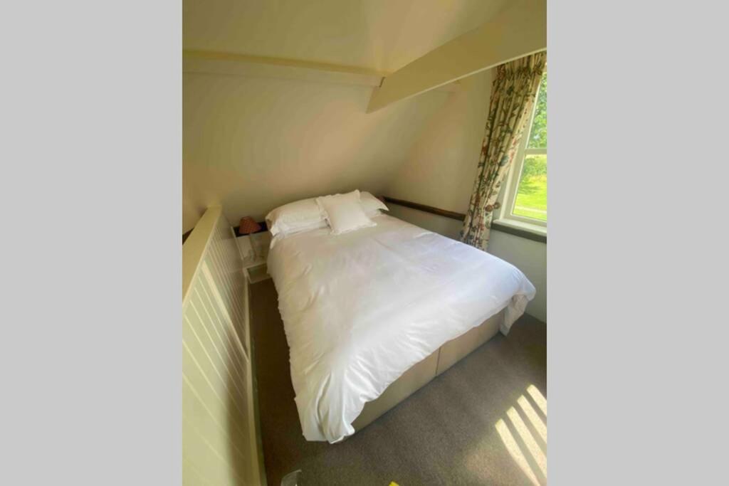 Gorgeous Comfortable Barn With Huge Private Orchard In Quiet Suffolk Location Depden 外观 照片